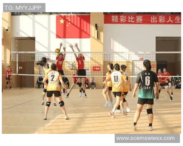 重庆排球队心理素质分析:锦标赛中的表现与挑战 重庆排球队心理素质分析:锦标赛中的表现与挑战