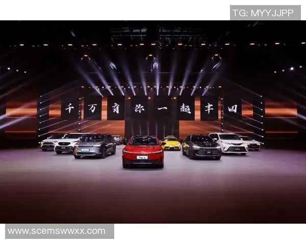 广州篮球队洲际杯征程回顾与突破成就的深度解析