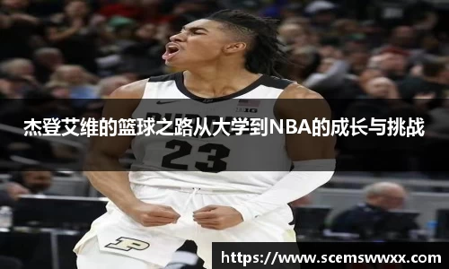 DB电竞